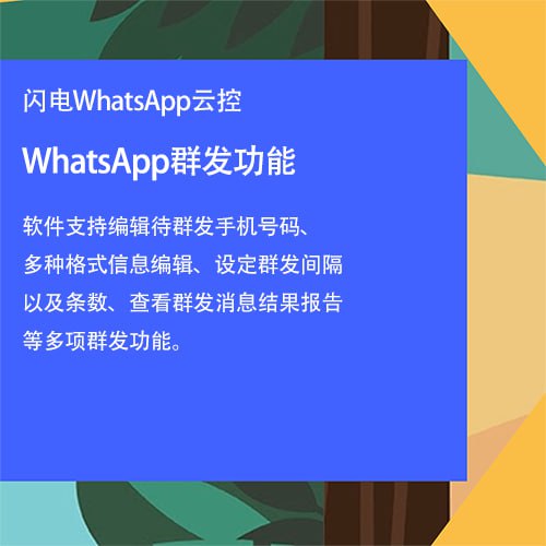 WhatsApp群发