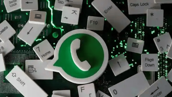 WhatsApp云控群发为何深受企业喜爱？
