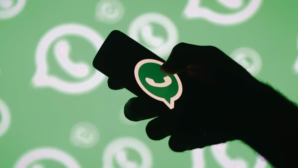 whatsapp云控价格