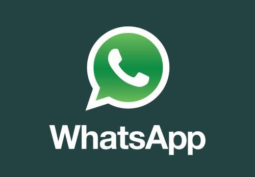 WhatsApp频道号购买
