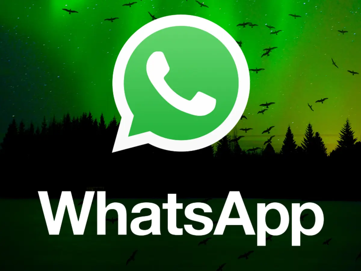 WhatsApp养号，WhatsApp群发的必备“神器”！