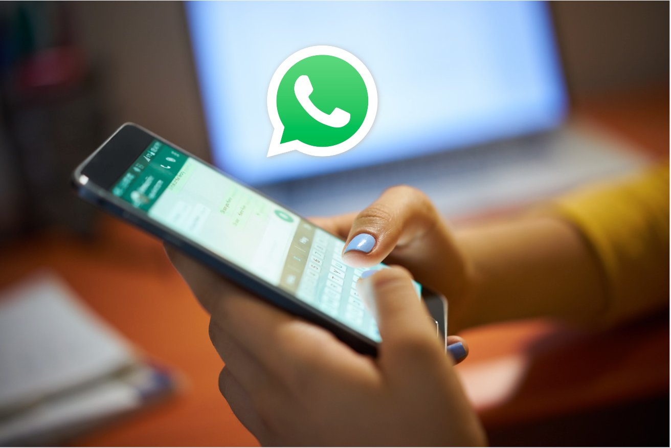 ws云控，wa云控，whatsapp云控系统