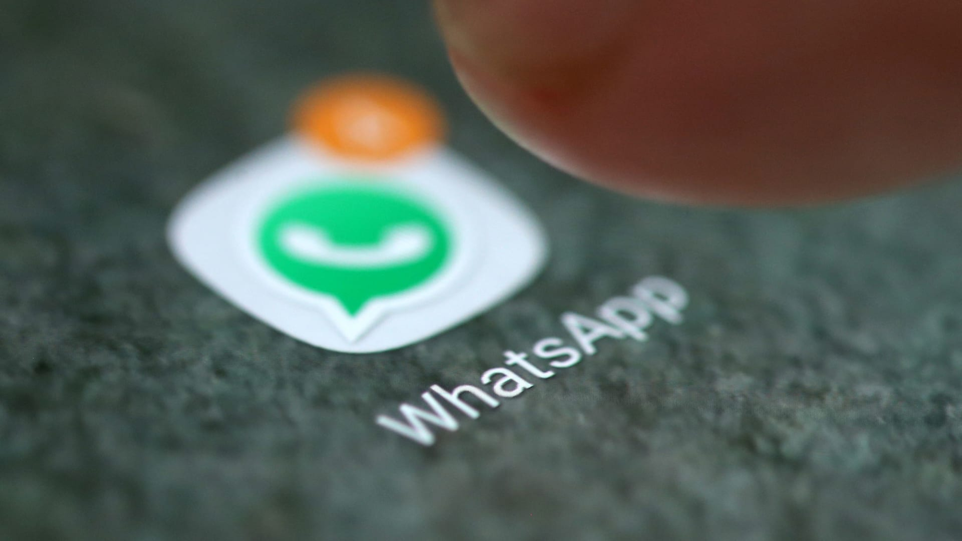 如何选择合适的WhatsApp群发工具？