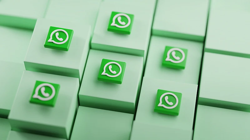 WhatsApp自动群发怎么做?