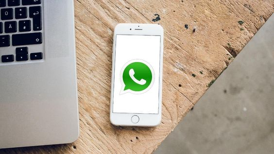 WhatsApp直接翻译，闪电WhatsApp云控高效翻译系统!