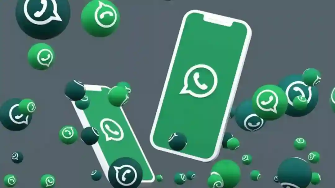 WhatsApp养号：你首先主要了解WhatsApp封号规则!