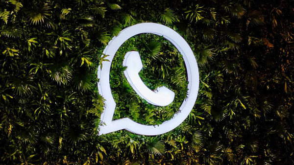WhatsApp翻译器，你的聊天翻译官!