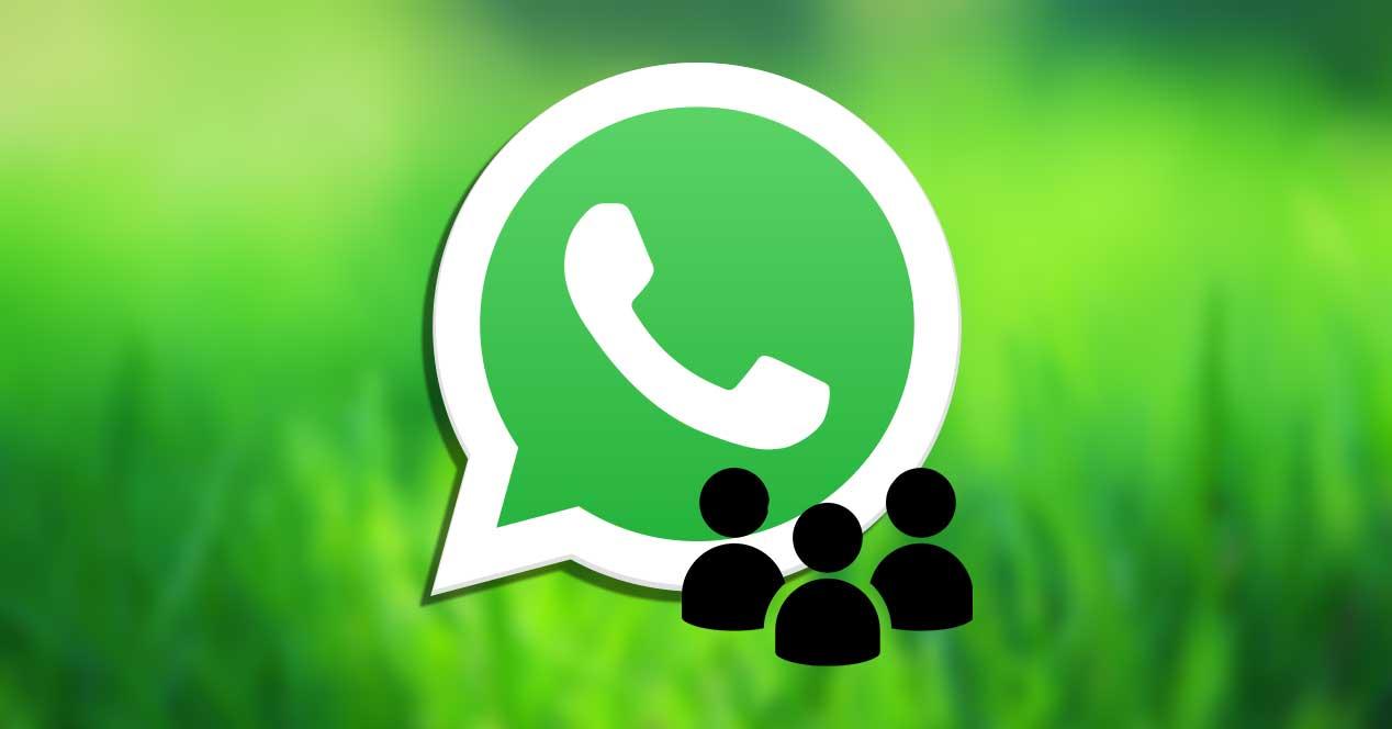 WhatsApp群发辅助如何选择？