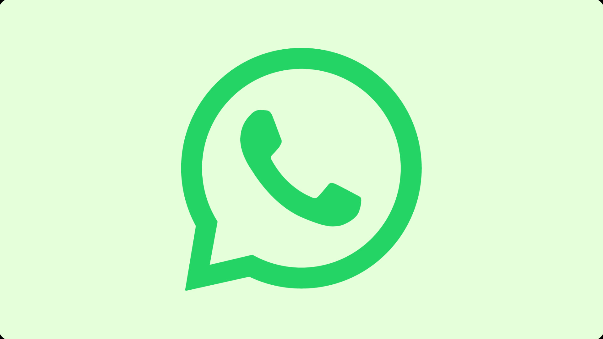 WhatsApp如何进行养号？