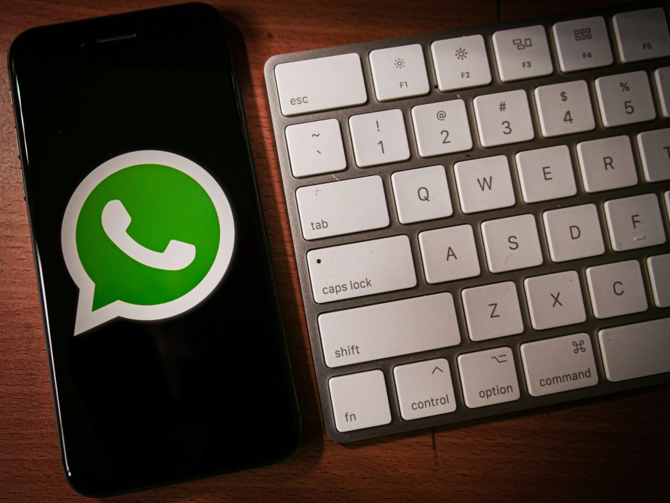 WhatsApp营销辅助WhatsApp闪电云控