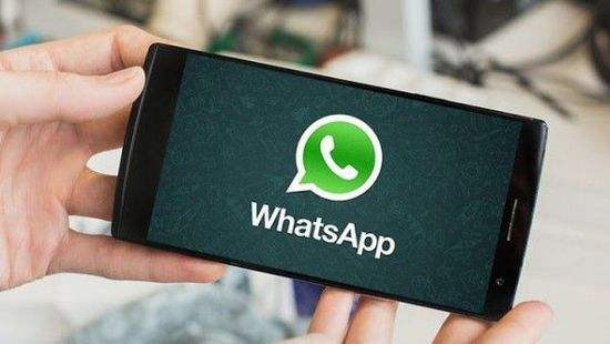 WhatsApp养号