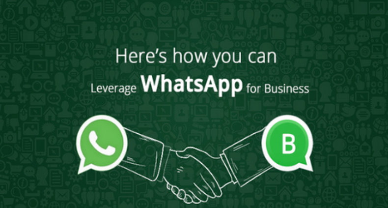 whatsapp怎么添加翻译