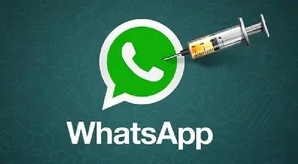 whatsapp协议号-ws群发
