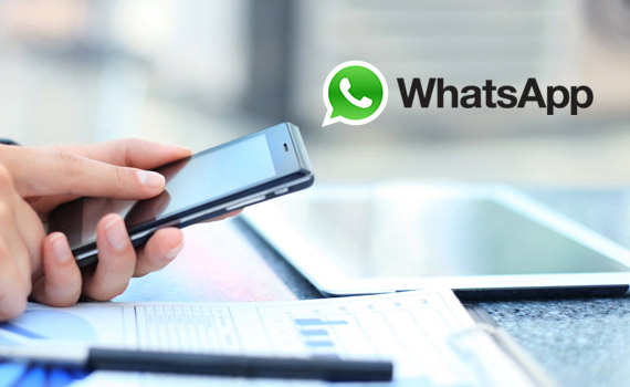 WhatsApp数据采集有什么用