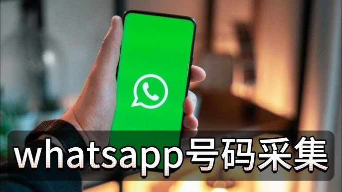 批量采集WhatsApp号码