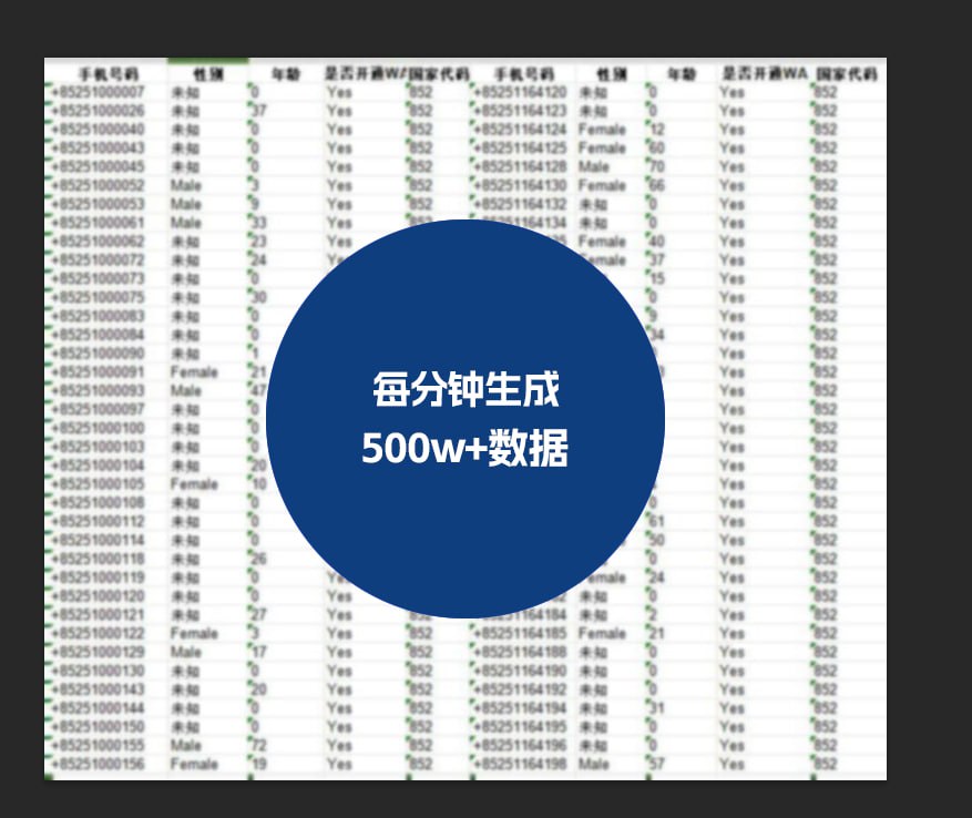 俄罗斯WhatsApp数据