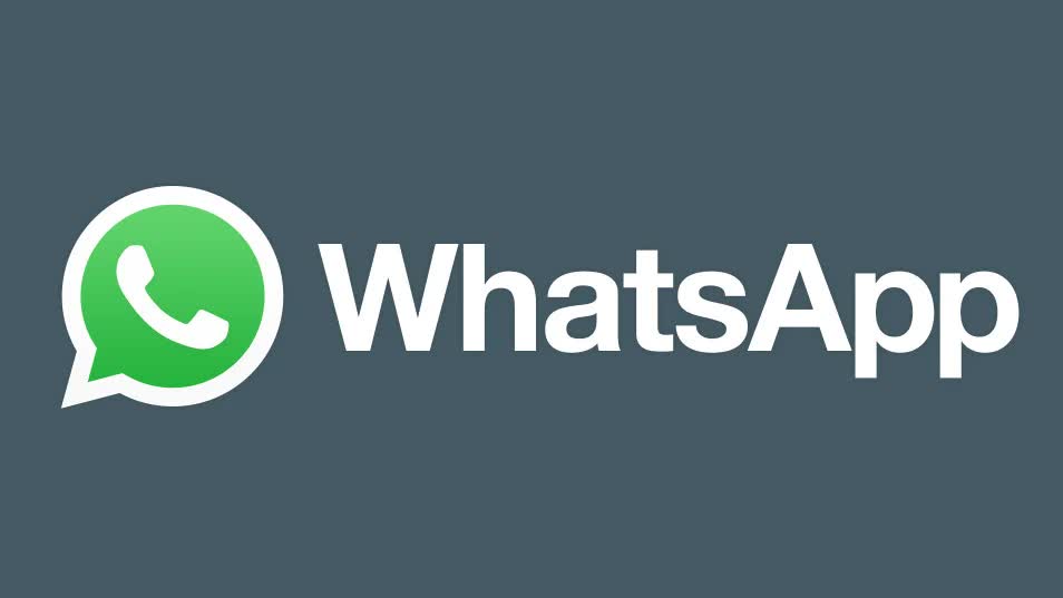 闪电WhatsApp翻译,闪电WhatsApp云控
